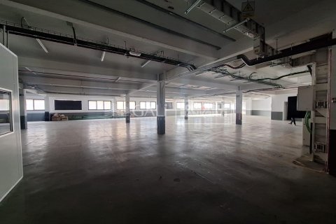 Gewerbeimmobilien zur Miete in Principado De Andorra (Ninguna Poblacion Tiene C.P.), Lleida, Spanien 7623 m2 Nr. 160510 - Foto 10
