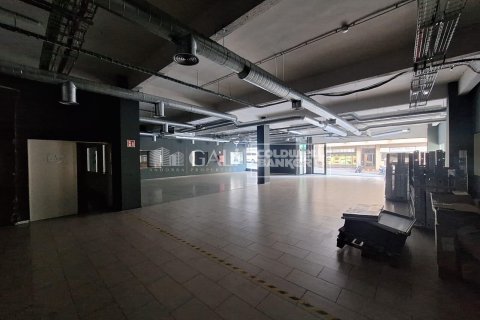 Gewerbeimmobilien zur Miete in Principado De Andorra (Ninguna Poblacion Tiene C.P.), Lleida, Spanien 7623 m2 Nr. 160510 - Foto 16