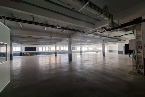 Gewerbeimmobilien zur Miete in Principado De Andorra (Ninguna Poblacion Tiene C.P.), Lleida, Spanien 7623 m2 Nr. 160510 - Foto 21