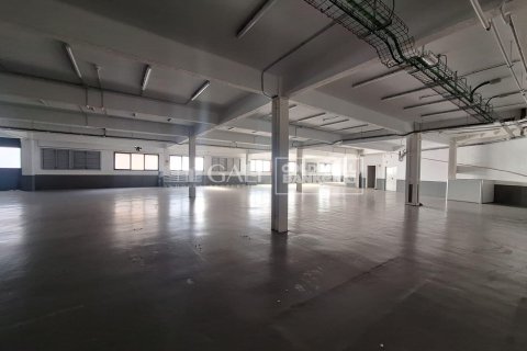 Gewerbeimmobilien zur Miete in Principado De Andorra (Ninguna Poblacion Tiene C.P.), Lleida, Spanien 7623 m2 Nr. 160510 - Foto 19