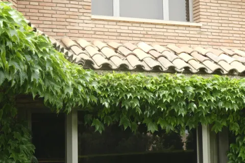 House for sale in Barcelona, Spain 5 bedrooms, 678 sq.m. No. 167126 - photo 24