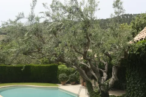 House for sale in Barcelona, Spain 5 bedrooms, 678 sq.m. No. 167126 - photo 28