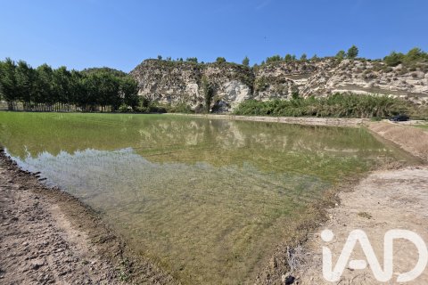 Propiedad comercial en venta en Moratalla, Murcia, España No. 184634 - foto 5