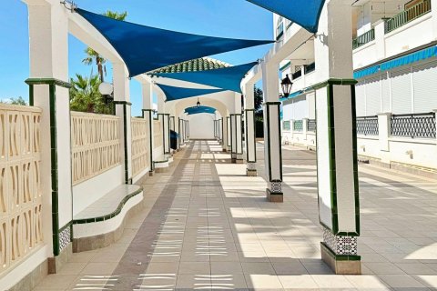 Huoneisto myytävänä Torrevieja, Alicante, Espanja, 1 makuuhuone, 44.99 m2 No. 165914 - kuva 6