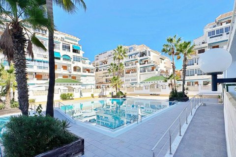 Huoneisto myytävänä Torrevieja, Alicante, Espanja, 1 makuuhuone, 44.99 m2 No. 165914 - kuva 18