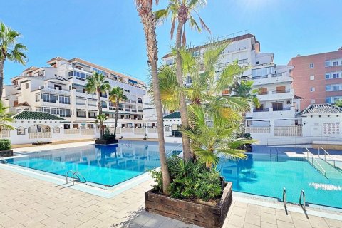 Huoneisto myytävänä Torrevieja, Alicante, Espanja, 1 makuuhuone, 44.99 m2 No. 165914 - kuva 9