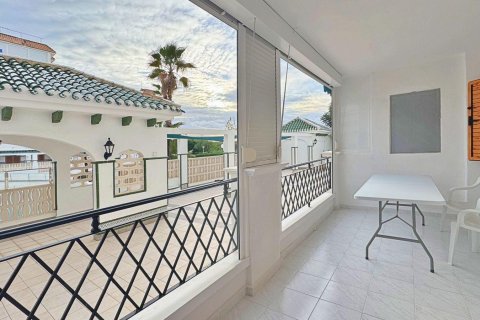 Huoneisto myytävänä Torrevieja, Alicante, Espanja, 1 makuuhuone, 44.99 m2 No. 165914 - kuva 26