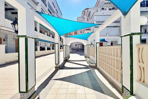 Huoneisto myytävänä Torrevieja, Alicante, Espanja, 1 makuuhuone, 44.99 m2 No. 165914 - kuva 15