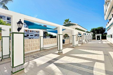 Huoneisto myytävänä Torrevieja, Alicante, Espanja, 1 makuuhuone, 44.99 m2 No. 165914 - kuva 12