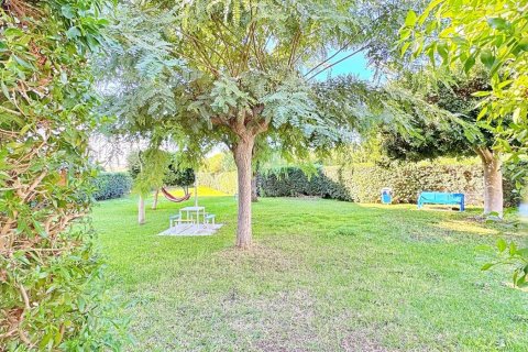 Huoneisto myytävänä Torrevieja, Alicante, Espanja, 1 makuuhuone, 44.99 m2 No. 165914 - kuva 3