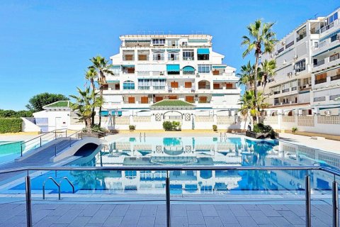 Huoneisto myytävänä Torrevieja, Alicante, Espanja, 1 makuuhuone, 44.99 m2 No. 165914 - kuva 17