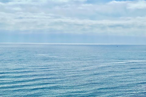 Penthauss pārdošanā Torrevieja, Alicante, Spānijā 2 istabas, 80 m2 Nr. 165918 - attēls 14