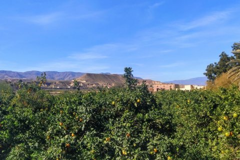 Продажа дома в Риоха, Альмерия, Испания 6 спален, 224м2 №154153 - фото 7