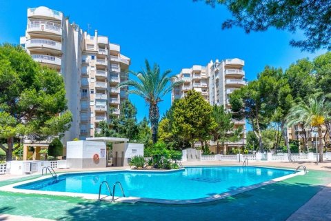 Dzīvoklis pārdošanā Alicante, Spānijā 2 istabas, 76 m2 Nr. 183771 - attēls 20
