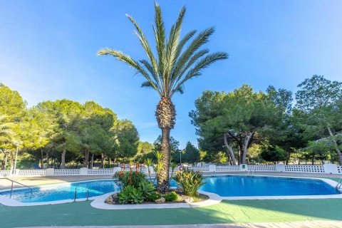 Dzīvoklis pārdošanā Alicante, Spānijā 2 istabas, 76 m2 Nr. 183771 - attēls 25