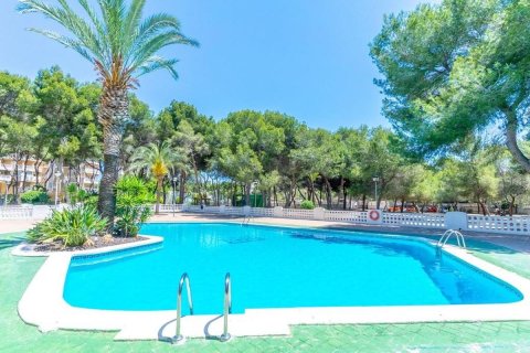 Dzīvoklis pārdošanā Alicante, Spānijā 2 istabas, 76 m2 Nr. 183771 - attēls 16