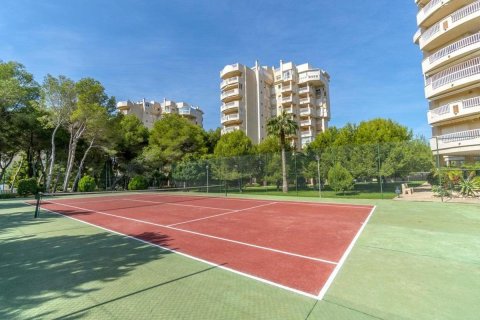 Dzīvoklis pārdošanā Alicante, Spānijā 2 istabas, 76 m2 Nr. 183771 - attēls 18