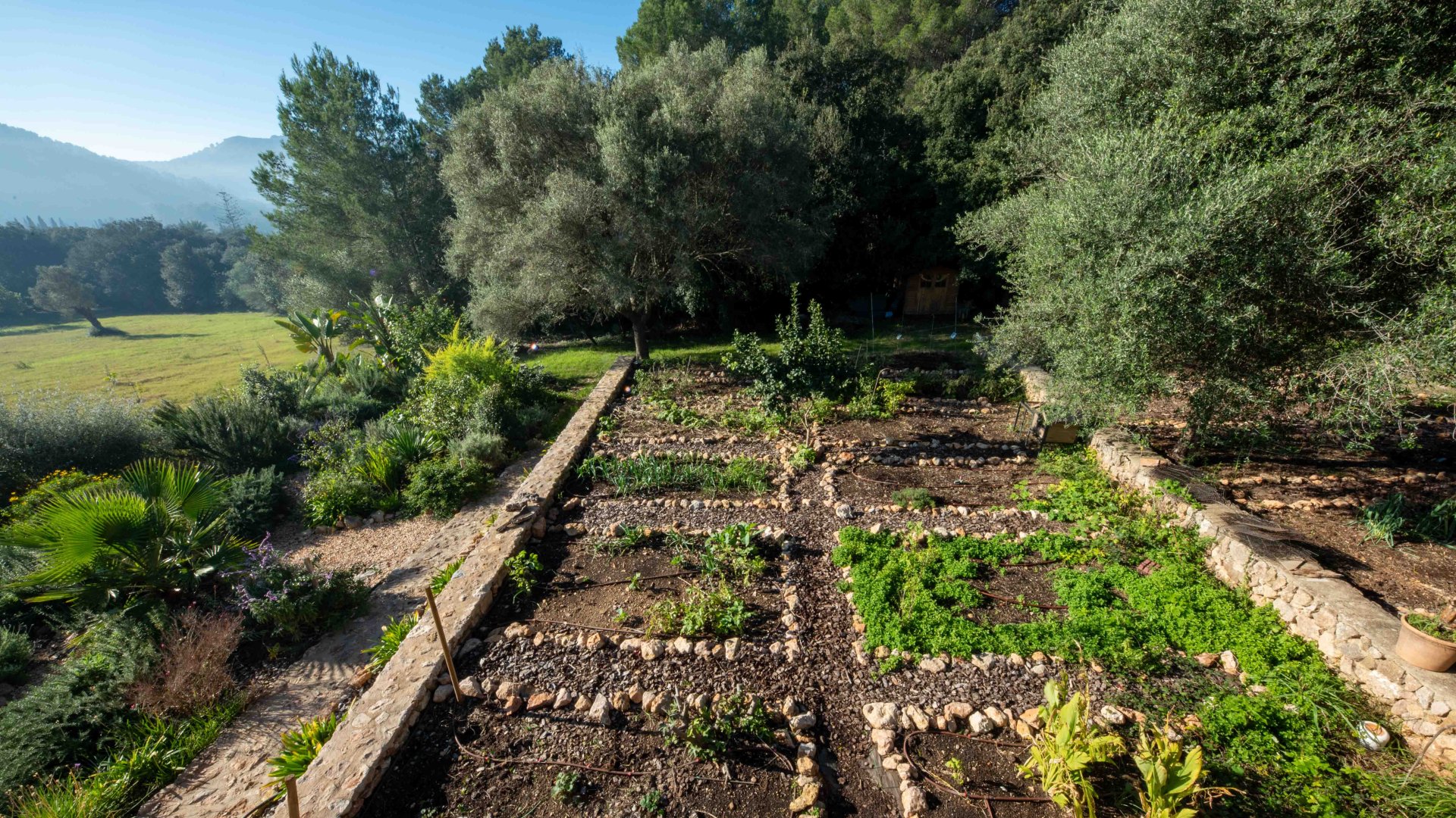 Finca in Pollenca, Mallorca, Spain 6 bedrooms, 450 sq.m. No. 146486