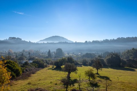 Finca à vendre à Pollenca, Mallorca, Espagne, 6 chambres, 450 m2 No. 146486 - photo 18