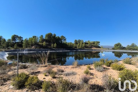 Terreno in vendita a Flix, Tarragona, Spagna 220000 mq. N° 152994 - foto 7