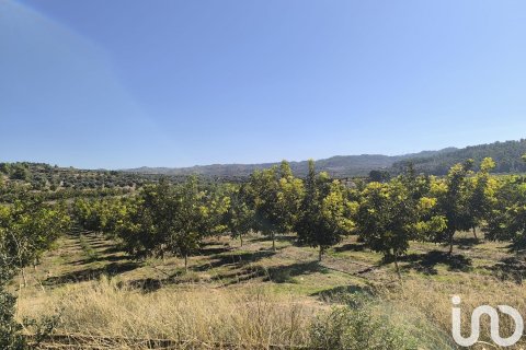 Terreno in vendita a Flix, Tarragona, Spagna 220000 mq. N° 152994 - foto 24