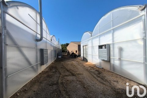 Terreno a Flix, Tarragona, Spagna 220000 mq. N° 152994