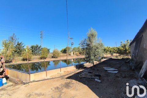 Terreno in vendita a Flix, Tarragona, Spagna 220000 mq. N° 152994 - foto 8