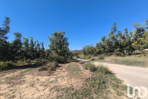 Terreno in vendita a Flix, Tarragona, Spagna 220000 mq. N° 152994 - foto 25