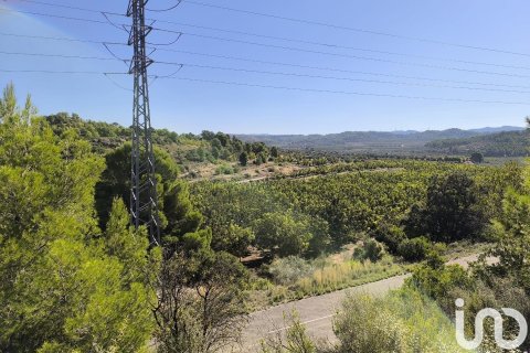 Terreno in vendita a Flix, Tarragona, Spagna 220000 mq. N° 152994 - foto 26
