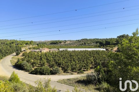 Terreno in vendita a Flix, Tarragona, Spagna 220000 mq. N° 152994 - foto 22