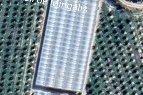 Terreno in vendita a Flix, Tarragona, Spagna 220000 mq. N° 152994 - foto 3