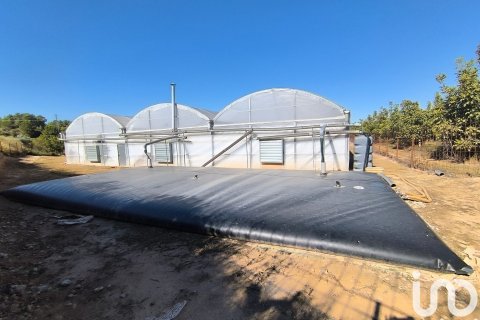 Terreno in vendita a Flix, Tarragona, Spagna 220000 mq. N° 152994 - foto 6