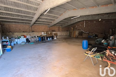 Terreno in vendita a Flix, Tarragona, Spagna 220000 mq. N° 152994 - foto 9