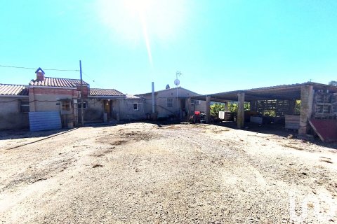 Terreno in vendita a Flix, Tarragona, Spagna 220000 mq. N° 152994 - foto 11