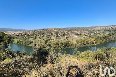 Terreno in vendita a Flix, Tarragona, Spagna 220000 mq. N° 152994 - foto 27