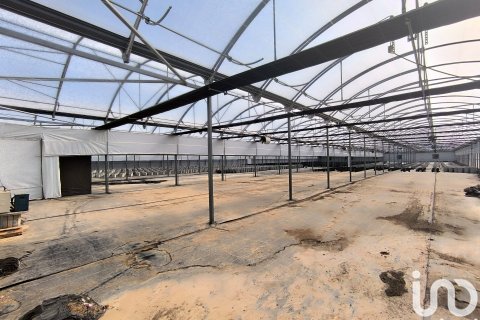 Terreno in vendita a Flix, Tarragona, Spagna 220000 mq. N° 152994 - foto 5