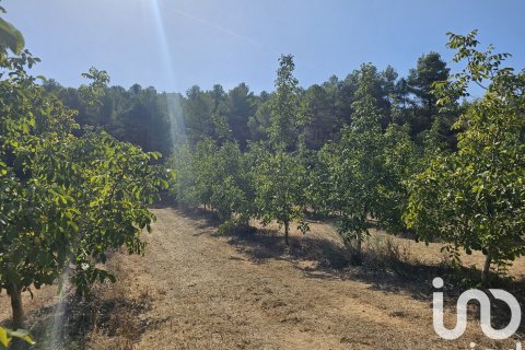 Proprietà commerciale in vendita a Gandesa, Tarragona, Spagna N° 152996 - foto 20