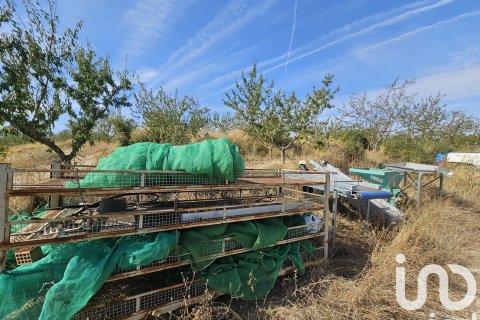 Proprietà commerciale in vendita a Gandesa, Tarragona, Spagna N° 152996 - foto 28