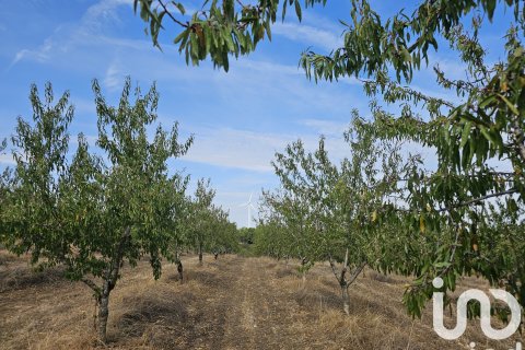 Proprietà commerciale in vendita a Gandesa, Tarragona, Spagna N° 152996 - foto 12