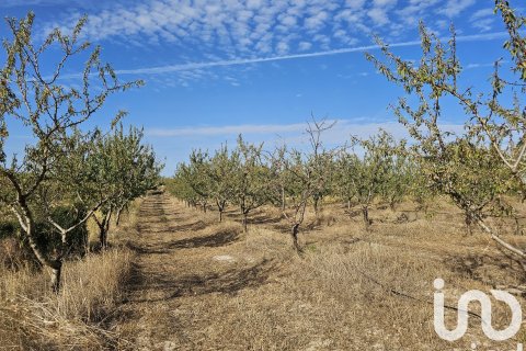 Proprietà commerciale in vendita a Gandesa, Tarragona, Spagna N° 152996 - foto 5