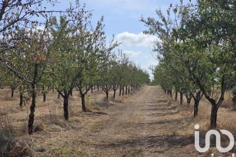 Proprietà commerciale in vendita a Gandesa, Tarragona, Spagna N° 152996 - foto 4