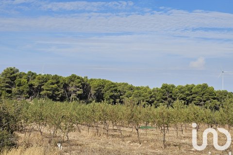 Proprietà commerciale in vendita a Gandesa, Tarragona, Spagna N° 152996 - foto 3