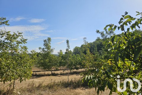 Продажа коммерческой недвижимости в Гандеса, Таррагона, Испания №152996 - фото 29