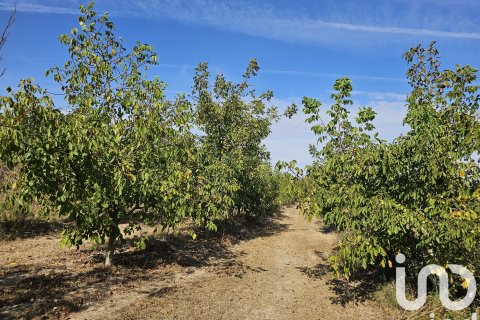 Proprietà commerciale a Gandesa, Tarragona, Spagna N° 152996
