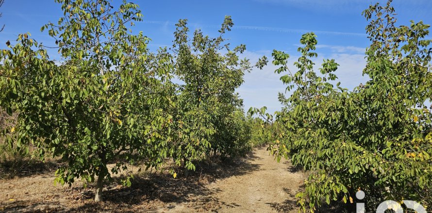 Proprietà commerciale a Gandesa, Tarragona, Spagna N° 152996