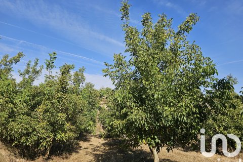 Proprietà commerciale in vendita a Gandesa, Tarragona, Spagna N° 152996 - foto 17