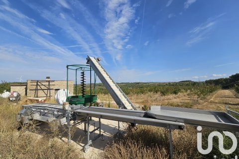 Proprietà commerciale in vendita a Gandesa, Tarragona, Spagna N° 152996 - foto 27