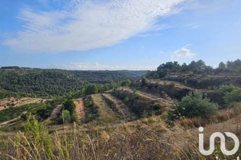 Proprietà commerciale in vendita a Gandesa, Tarragona, Spagna N° 152996 - foto 8