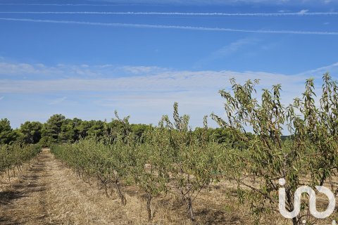 Proprietà commerciale in vendita a Gandesa, Tarragona, Spagna N° 152996 - foto 6