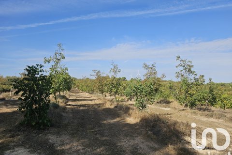 Proprietà commerciale in vendita a Gandesa, Tarragona, Spagna N° 152996 - foto 9